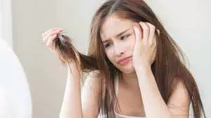 Hair Care Tips: घने और लंबे बाल पाने के लिए मेथी के तेल का करें इस्तेमाल, घर पर ऐसे करें तैयार Hair Care Tips: घने और लंबे बाल पाने के लिए मेथी के तेल का करें इस्तेमाल, घर पर ऐसे करें तैयार