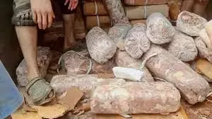 Srinagar: जम्मू-कश्मीर में सड़ा मांस बेचने वालों पर प्रशासन सख्त Srinagar: जम्मू-कश्मीर में सड़ा मांस बेचने वालों पर प्रशासन सख्त