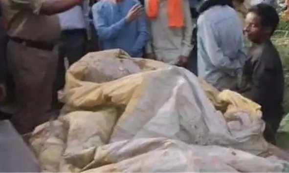 Farrukhabad: गोवंश की खाल और मांस के रैकेट का भंडाफोड़ Farrukhabad: गोवंश की खाल और मांस के रैकेट का भंडाफोड़