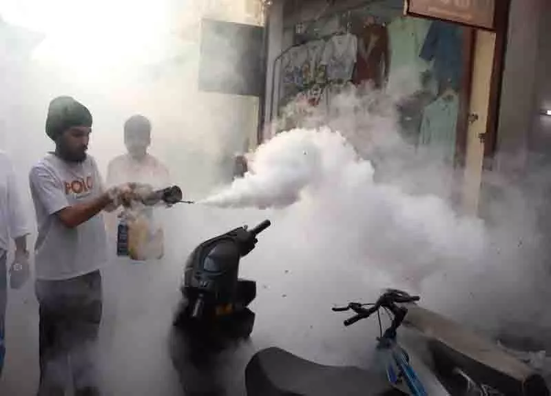 डेंगू के मामले में Hoshiarpur सबसे आगे, जालंधर तीसरे स्थान पर डेंगू के मामले में Hoshiarpur सबसे आगे, जालंधर तीसरे स्थान पर