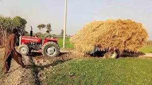 Charkhi Dadri: हरियाणा किसानों ने अपनाया आधुनिक पराली समाधान Charkhi Dadri: हरियाणा किसानों ने अपनाया आधुनिक पराली समाधान