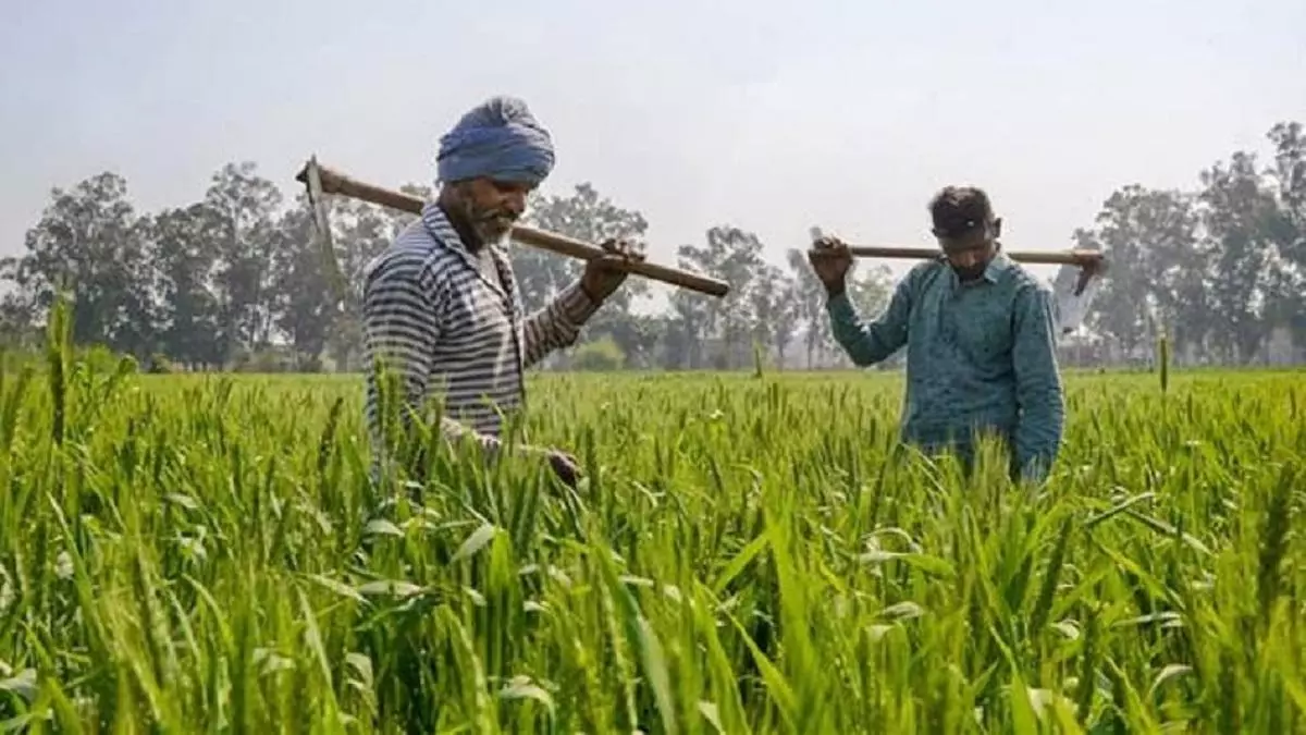 Chandigarh: पीएम किसान सम्मान निधि में घोटाला, सरकार सख्त Chandigarh: पीएम किसान सम्मान निधि में घोटाला, सरकार सख्त