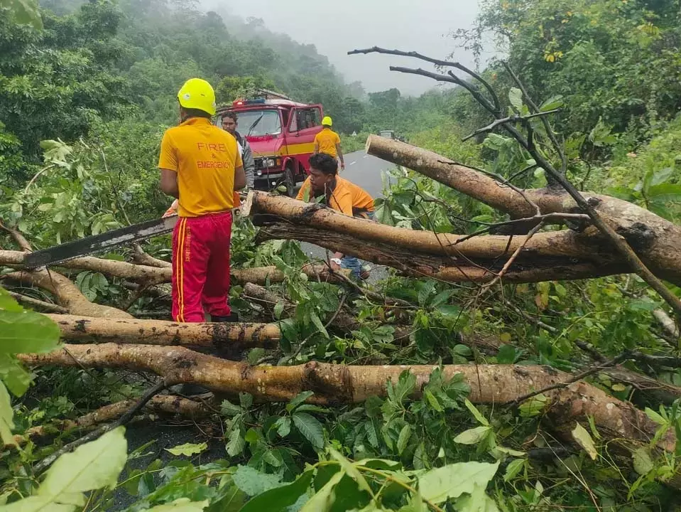 Cyclone Montha: ओडिशा में सरकार ने फसल और इंफ्रास्ट्रक्चर के नुकसान का सर्वे शुरू किया Cyclone Montha: ओडिशा में सरकार ने फसल और इंफ्रास्ट्रक्चर के नुकसान का सर्वे शुरू किया