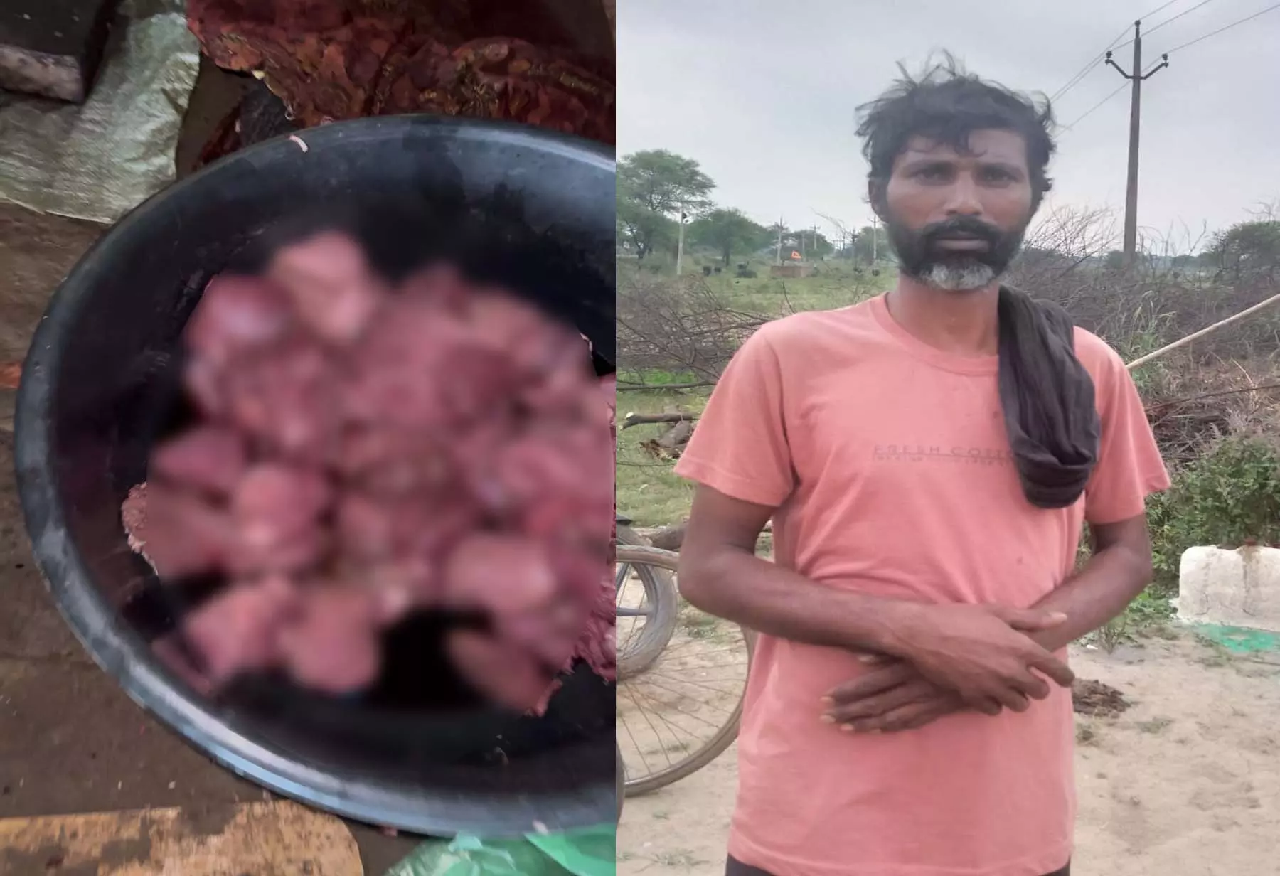 वन विभाग की बड़ी कार्रवाई, जंगली सूअर का मांस जब्त, आरोपी जेल दाखिल वन विभाग की बड़ी कार्रवाई, जंगली सूअर का मांस जब्त, आरोपी जेल दाखिल