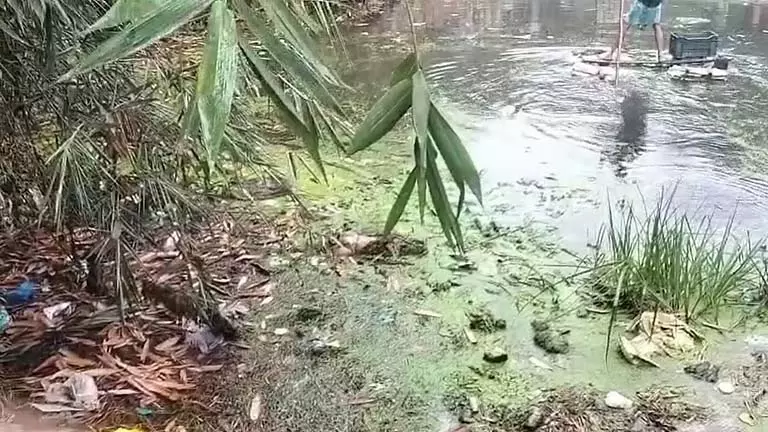 Birbhum में 3 साल का बच्चा लापता, 50 घंटे बाद पानी में मिला शव Birbhum में 3 साल का बच्चा लापता, 50 घंटे बाद पानी में मिला शव