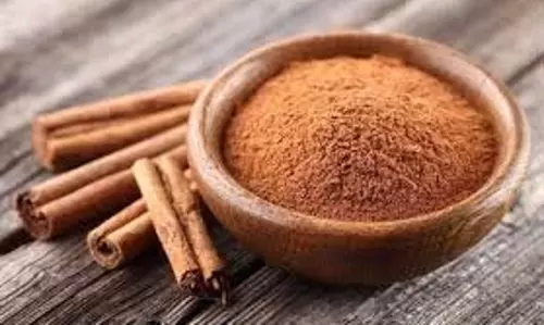 Health: सर्दियों में दालचीनी का सेवन करना है बेहद फायदेमंद, जानें कैसे करें सेवन Health: सर्दियों में दालचीनी का सेवन करना है बेहद फायदेमंद, जानें कैसे करें सेवन