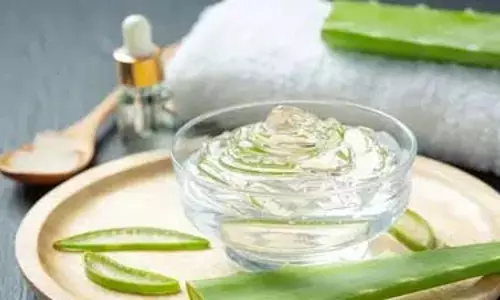 Winter Skin Care: स्किन को टाइट और मॉइस्चराइज रखने के लिए यूज करें ऐलोवेरा Winter Skin Care: स्किन को टाइट और मॉइस्चराइज रखने के लिए यूज करें ऐलोवेरा