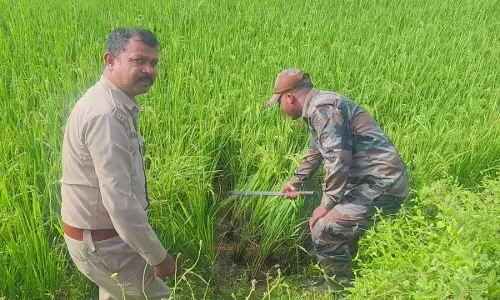 Odisha : गांव में बाघ के पैरों के निशान मिलने के बाद दहशत फैल गई