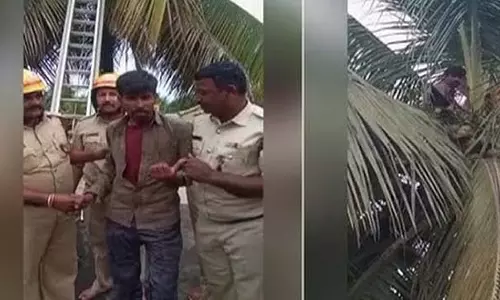स्थानीय लोगों ने उसे चोर समझकर उसका पीछा किया; असम का आदमी 4 घंटे तक पेड़ पर बैठा रहा स्थानीय लोगों ने उसे चोर समझकर उसका पीछा किया; असम का आदमी 4 घंटे तक पेड़ पर बैठा रहा