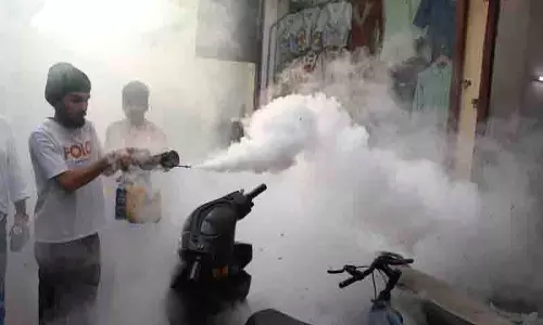 डेंगू के मामले में Hoshiarpur सबसे आगे, जालंधर तीसरे स्थान पर डेंगू के मामले में Hoshiarpur सबसे आगे, जालंधर तीसरे स्थान पर