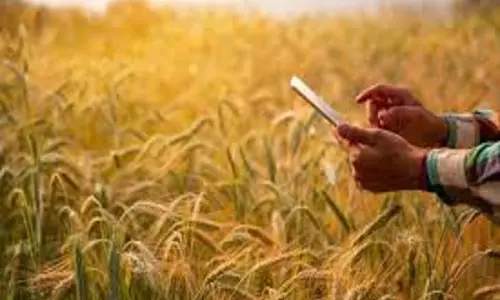 Karnataka : फसल सर्वेक्षण पर आपत्तियां दर्ज कराने की आखिरी तारीख 30 अक्टूबर है