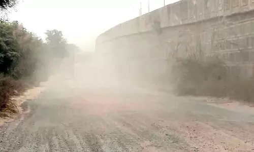 बहादुरगढ़ में धूल प्रदूषण के लिए NHAI अधिकारियों को कारण बताओ नोटिस