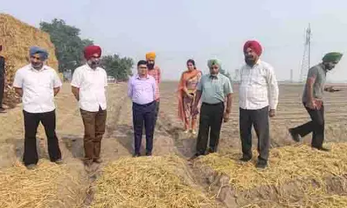 Ludhiana: अधिकारियों ने कहा कि मल्चिंग को क्षेत्र के किसानों के बीच व्यापक स्वीकृति मिल रही