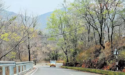 माले महादेश्वरा पहाड़ियों को टाइगर रिजर्व का दर्जा: वन विभाग द्वारा सार्वजनिक परामर्श बैठक माले महादेश्वरा पहाड़ियों को टाइगर रिजर्व का दर्जा: वन विभाग द्वारा सार्वजनिक परामर्श बैठक