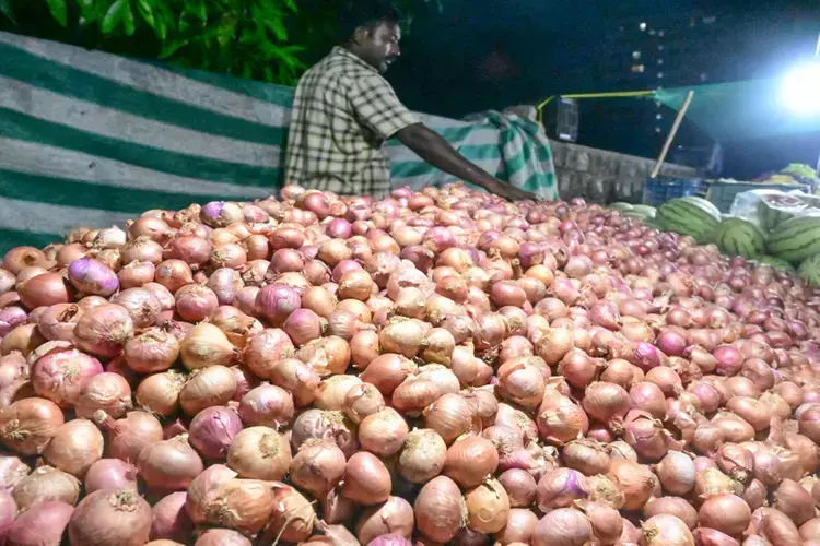Kerala :  घरेलू उपभोक्ताओं को राहत, प्याज की कीमतों में भारी गिरावट