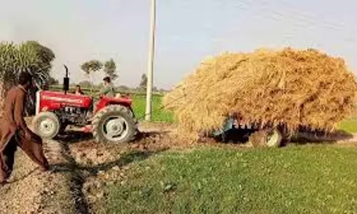 Charkhi Dadri: हरियाणा किसानों ने अपनाया आधुनिक पराली समाधान