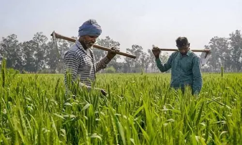 Chandigarh: पीएम किसान सम्मान निधि में घोटाला, सरकार सख्त