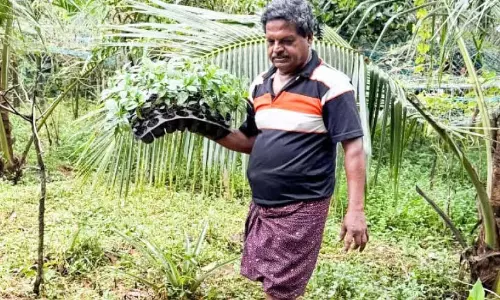 Kerala : नेशनल हाईवे कंस्ट्रक्शन के दौरान रिटेनिंग वॉल का स्लैब गिर गया