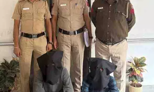 Chandigarh निवासी से घर से काम करने के नाम पर 9 लाख रुपये की ठगी करने के आरोप में दो लोग गिरफ्तार