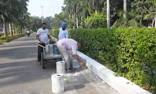Chandigarh: पीयू ग्लोबल एलुमनाई मीट के लिए तैयार
