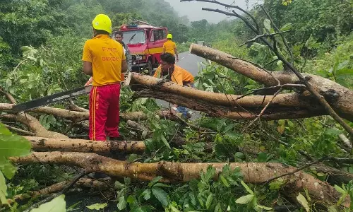 Cyclone Montha: ओडिशा में सरकार ने फसल और इंफ्रास्ट्रक्चर के नुकसान का सर्वे शुरू किया Cyclone Montha: ओडिशा में सरकार ने फसल और इंफ्रास्ट्रक्चर के नुकसान का सर्वे शुरू किया