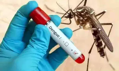 JAMMU: डेंगू के 37 नए मामले सामने आए