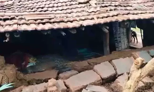 चक्रवात मोंथा के आंशिक प्रभाव से कोरापुट में भारी नुकसान चक्रवात मोंथा के आंशिक प्रभाव से कोरापुट में भारी नुकसान