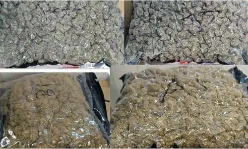 कस्टम्स की बड़ी कार्रवाई: Mumbai एयरपोर्ट से ड्रग्स और महंगे गैजेट्स जब्त कस्टम्स की बड़ी कार्रवाई: Mumbai एयरपोर्ट से ड्रग्स और महंगे गैजेट्स जब्त
