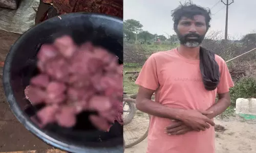 वन विभाग की बड़ी कार्रवाई, जंगली सूअर का मांस जब्त, आरोपी जेल दाखिल वन विभाग की बड़ी कार्रवाई, जंगली सूअर का मांस जब्त, आरोपी जेल दाखिल