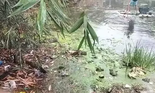 Birbhum में 3 साल का बच्चा लापता, 50 घंटे बाद पानी में मिला शव Birbhum में 3 साल का बच्चा लापता, 50 घंटे बाद पानी में मिला शव