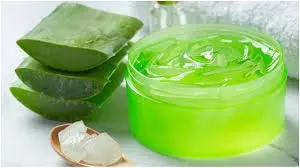 Aloe vera gel :रात को सोने से पहले चेहरे पर एलोवेरा जेल लगाएं, मिलेंगे कई फायदे Aloe vera gel :रात को सोने से पहले चेहरे पर एलोवेरा जेल लगाएं, मिलेंगे कई फायदे