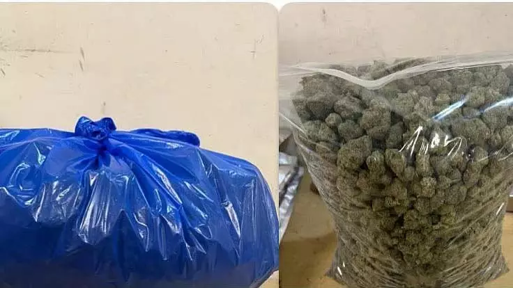 Mumbai एयरपोर्ट कस्टम्स ने 2 मामलों में विदेशी जानवर और ₹8 करोड़ की ड्रग्स बरामद की Mumbai एयरपोर्ट कस्टम्स ने 2 मामलों में विदेशी जानवर और ₹8 करोड़ की ड्रग्स बरामद की