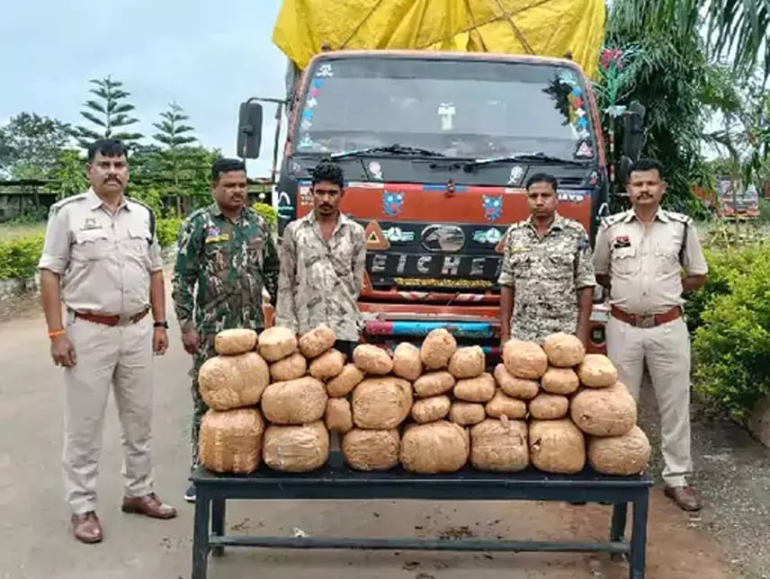 ओडिशा से लेकर आ रहे थे गांजा, यूपी-एमपी छोड़नी थी डिलवरी, 3 गिरफ्तार ओडिशा से लेकर आ रहे थे गांजा, यूपी-एमपी छोड़नी थी डिलवरी, 3 गिरफ्तार