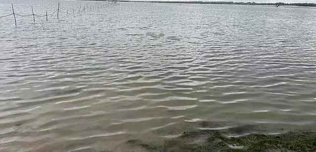 Tamil Nadu : एनोर समुद्र तट पर 4 महिलाओं के शव बहकर किनारे आ गए Tamil Nadu : एनोर समुद्र तट पर 4 महिलाओं के शव बहकर किनारे आ गए