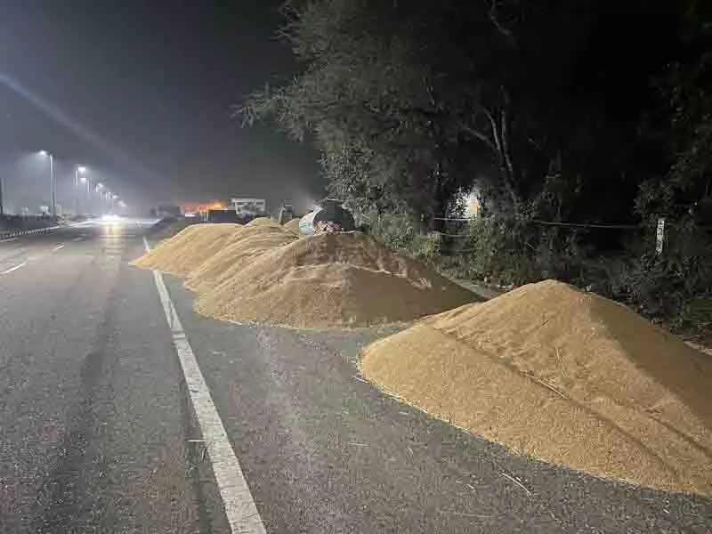 Jalandhar: धान की खरीद लक्ष्य के 70% तक पहुंची Jalandhar: धान की खरीद लक्ष्य के 70% तक पहुंची