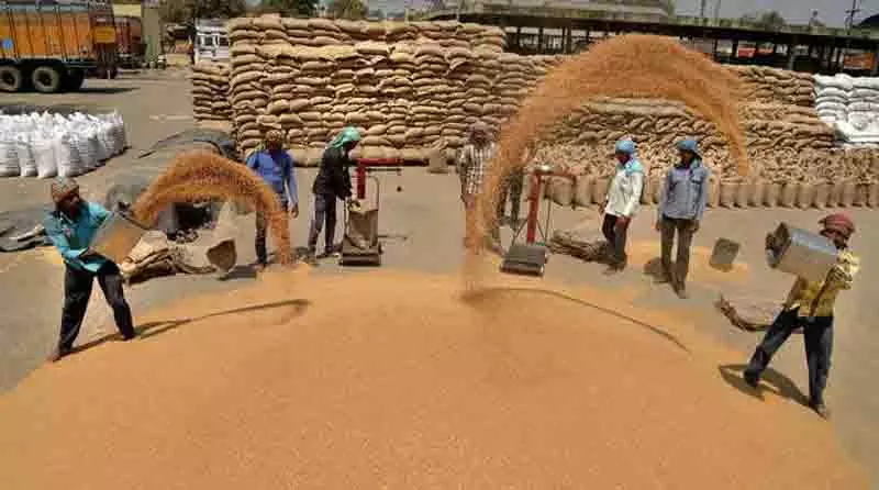 Jalandhar: बाढ़ प्रभावित क्षेत्रों में किसानों को 380 क्विंटल गेहूं का बीज मुफ्त वितरित किया जाएगा Jalandhar: बाढ़ प्रभावित क्षेत्रों में किसानों को 380 क्विंटल गेहूं का बीज मुफ्त वितरित किया जाएगा