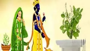 Tulsi Vivah 2025: तारीख, पूजा विधि और सामग्री Tulsi Vivah 2025: तारीख, पूजा विधि और सामग्री