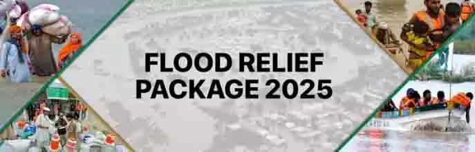 SRINAGAR: सांसदों ने केंद्र से विशेष बाढ़ राहत पैकेज की मांग की SRINAGAR: सांसदों ने केंद्र से विशेष बाढ़ राहत पैकेज की मांग की