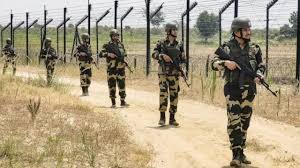 Punjab: फिरोजपुर सीमा पर घुसपैठ की कोशिश नाकाम, पाक नागरिक गिरफ्तार