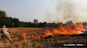 Punjab  में अब तक हुई कुल पराली जलाने की घटनाओं में से केवल 6% मामले चार दोआबा जिलों के