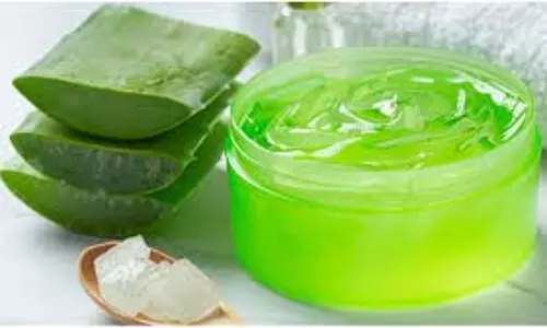 Aloe vera gel :रात को सोने से पहले चेहरे पर एलोवेरा जेल लगाएं, मिलेंगे कई फायदे Aloe vera gel :रात को सोने से पहले चेहरे पर एलोवेरा जेल लगाएं, मिलेंगे कई फायदे