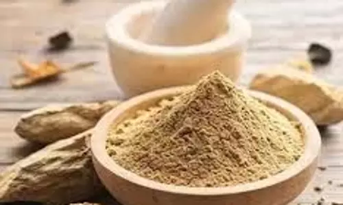 Hair Care: मुल्तानी मिट्टी से पाएं बालों में नई जान Hair Care: मुल्तानी मिट्टी से पाएं बालों में नई जान