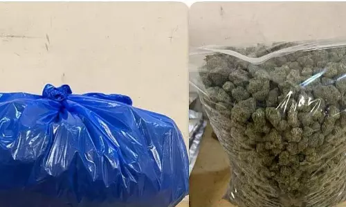 Mumbai एयरपोर्ट कस्टम्स ने 2 मामलों में विदेशी जानवर और ₹8 करोड़ की ड्रग्स बरामद की