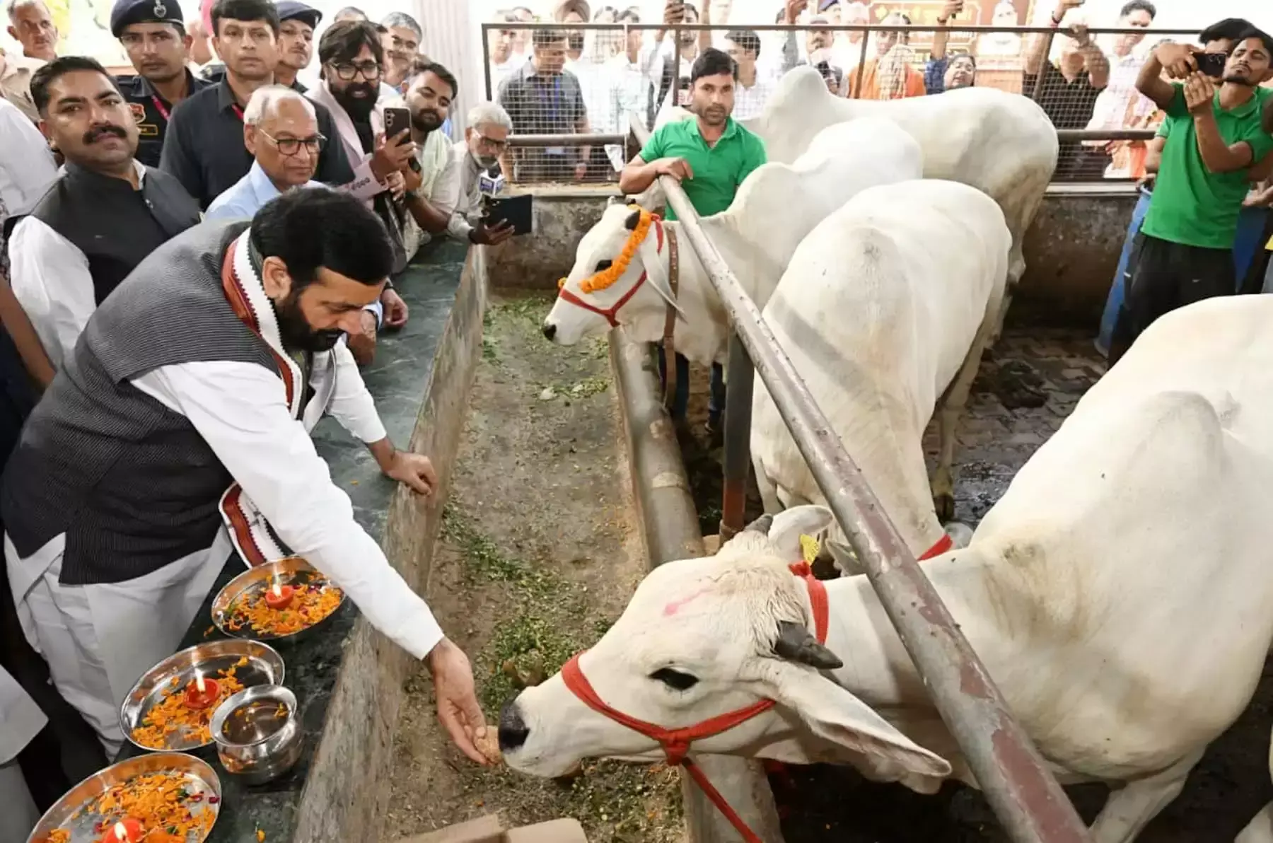 Chandigarh: हरयाणा में आत्मनिर्भर गौशालाओं के लिए जनसहयोग जरूरी: नायब सिंह सैनी
