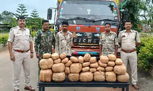 ओडिशा से लेकर आ रहे थे गांजा, यूपी-एमपी छोड़नी थी डिलवरी, 3 गिरफ्तार