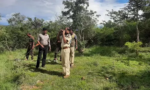 Chamarajanagar : बांदीपुर जंगल में 2 सफारी ट्रिप कैंसिल कर दी गई