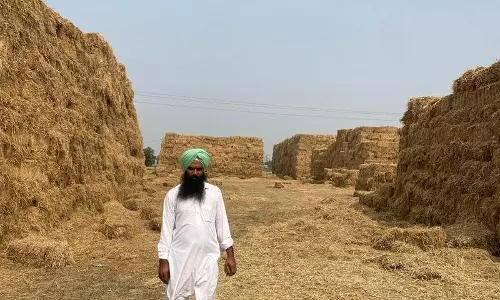 Sirsa , फतेहाबाद ने पराली की राख में बोया अवसर