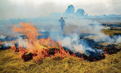 Punjab और हरियाणा के अधिकारियों के साथ बैठक की Punjab और हरियाणा के अधिकारियों के साथ बैठक की