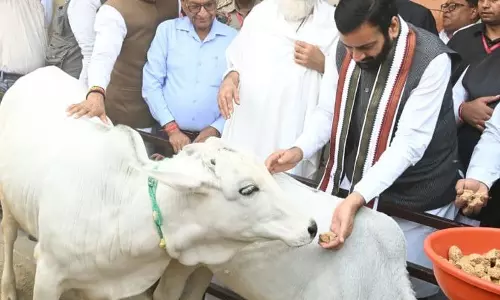 Haryana : गौशालाओं को आत्मनिर्भर बनाने में मदद करें मुख्यमंत्री