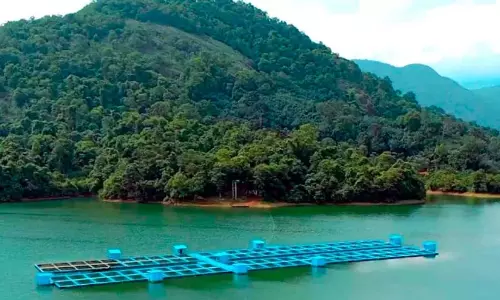Kerala : नेय्यर जलाशय में मछली पालन ने दुनिया भर का ध्यान खींचा Kerala : नेय्यर जलाशय में मछली पालन ने दुनिया भर का ध्यान खींचा